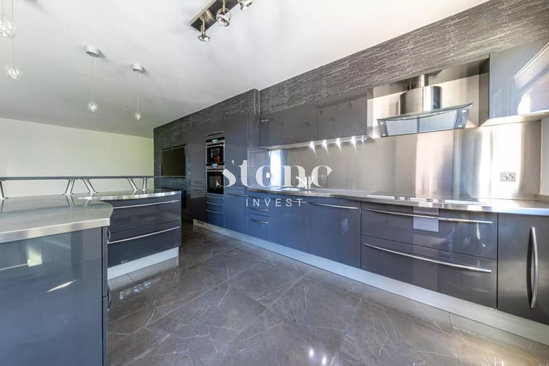 Magnifique 5 pièces de 140m2 à Carouge (5)