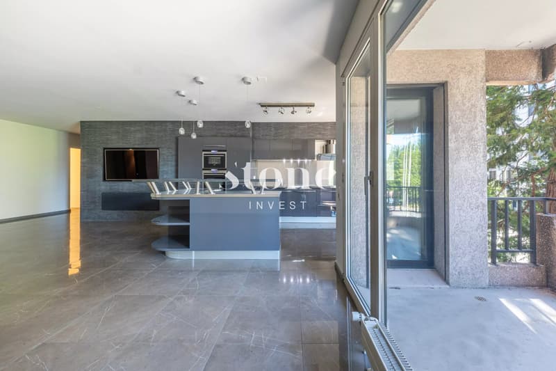 Magnifique 5 pièces de 140m2 à Carouge (4)
