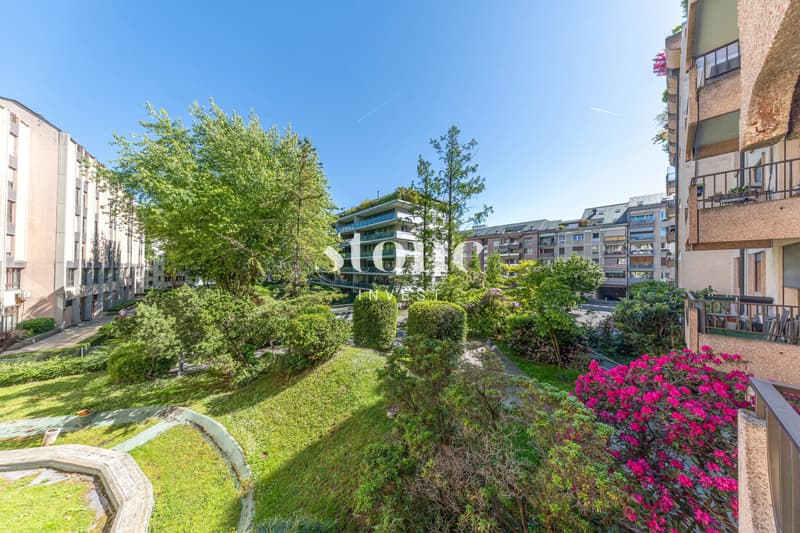 Magnifique 5 pièces de 140m2 à Carouge (10)