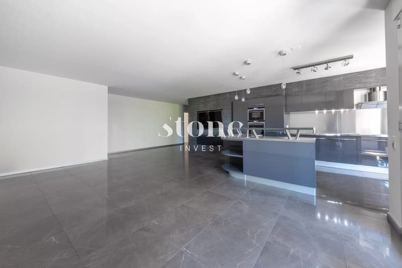 Magnifique 5 pièces de 140m2 à Carouge (3)