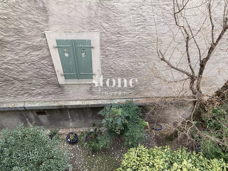 Magnifique DUPLEX au 3éme étage à Carouge (13)