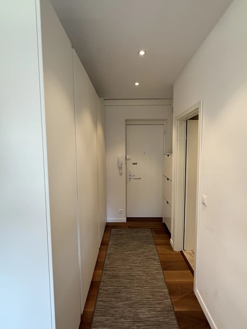 Magnifique appartement lumineux meublé récemment rénové de 58 m2 et 24 m2 de terrasse avec vue dégagée sur le parc (9)
