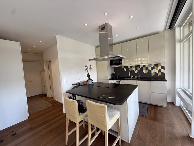 Magnifique appartement lumineux meublé récemment rénové de 58 m2 et 24 m2 de terrasse avec vue dégagée sur le parc (4)