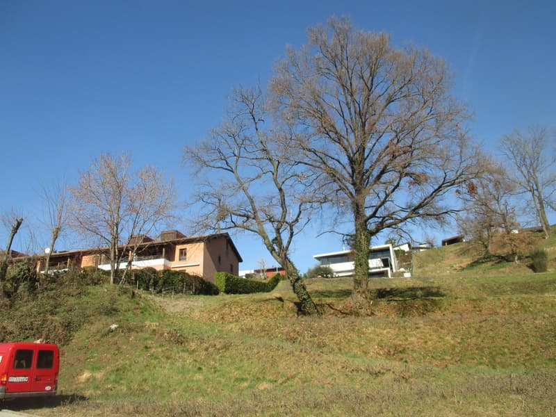 house on hill, red van parked, large tree in front, grassy terrain, clear blue sky, distant trees and houses