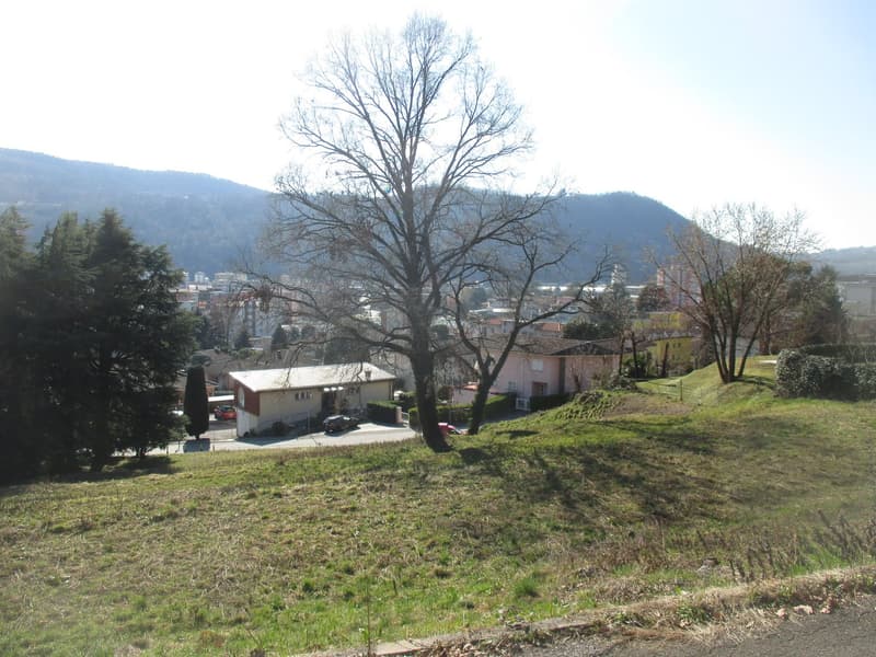 The image shows a scenic landscape with a small town nestled in the hills. There are several bare trees in the foreground, with a grassy area leading up to the town. The town appears to have a mix of residential and commercial buildings, with mountains vi