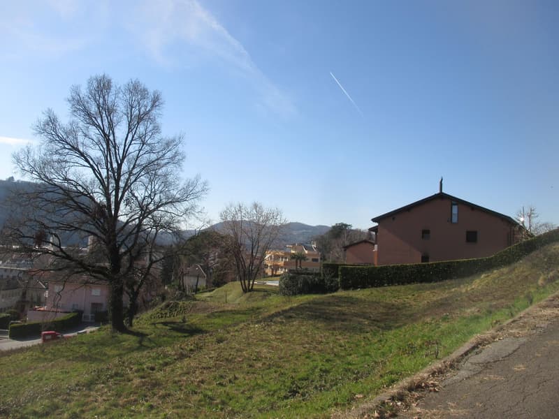 A hillside property with multiple houses and a mountain view
