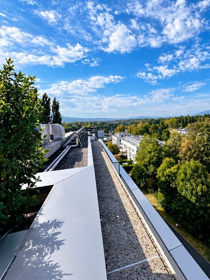En exclusivité! MAGNIFIQUE ATTIQUE DE 7 PIECES AVEC DEUX VASTES TERRASSES (7)