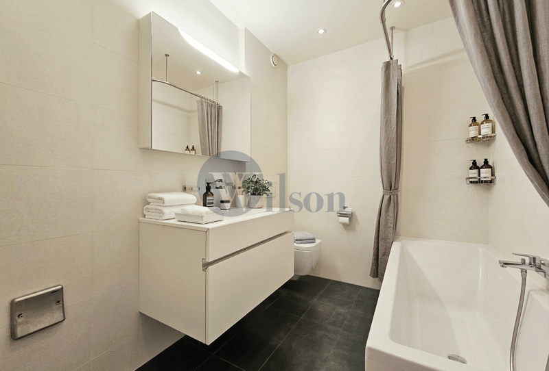 Carouge - Superbe appartement contemporain à vendre (10)