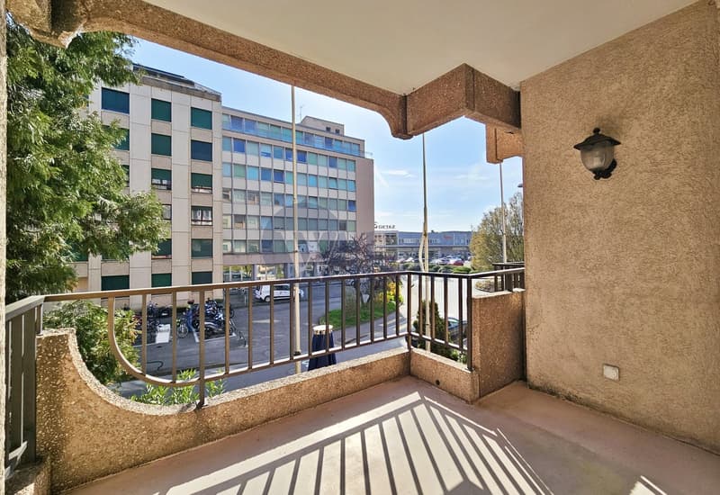 Carouge - Superbe appartement contemporain à vendre (4)