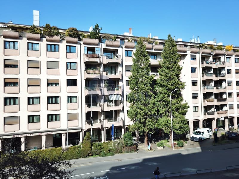 Carouge - Superbe appartement contemporain à vendre (12)
