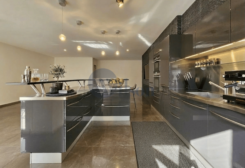 Carouge - Superbe appartement contemporain à vendre (2)