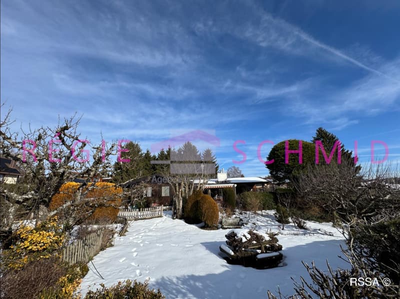 Villa Individuelle avec Vue Alpes (2)