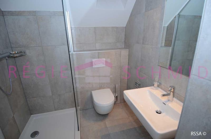 Appartement duplex de 6 pièces à Eysins (7)