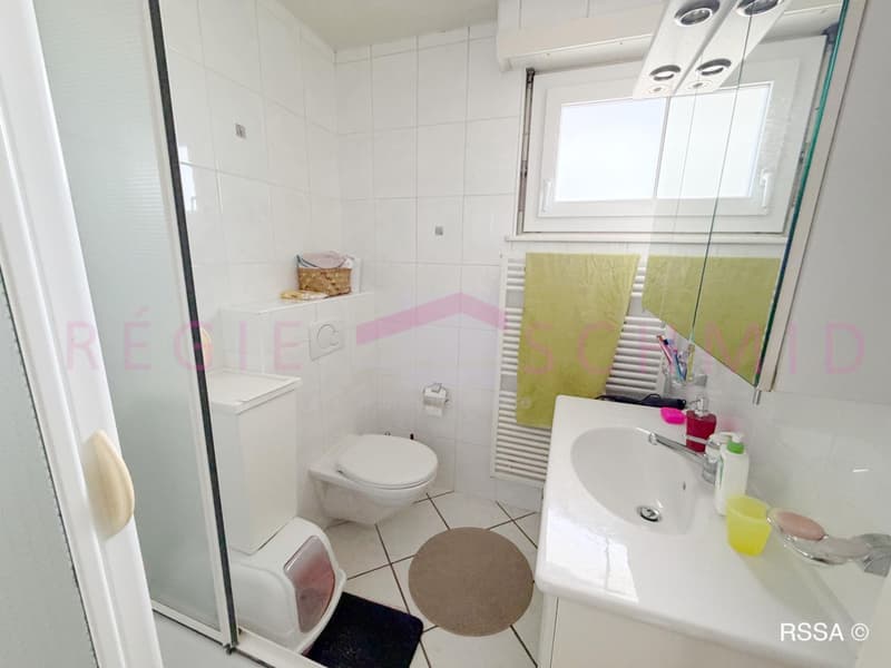 Villa individuelle de 7 pièces à Prangins (11)