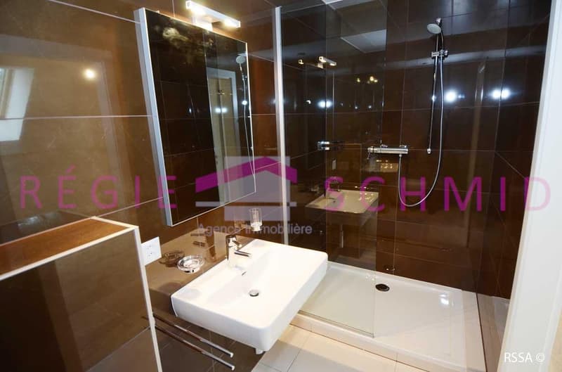 Appartement duplex de 6 pièces à Eysins (13)