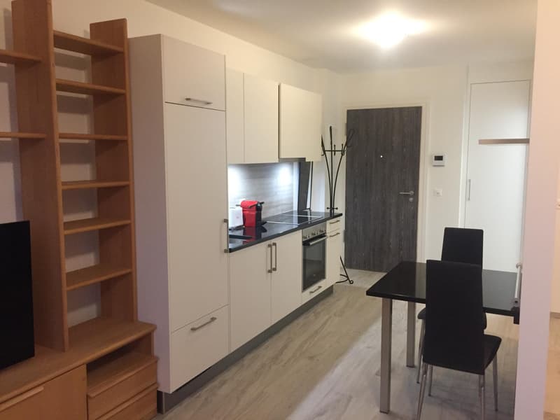 Studio de standing au coeur de Nyon, au calm et a deux pas de la gare. (3)