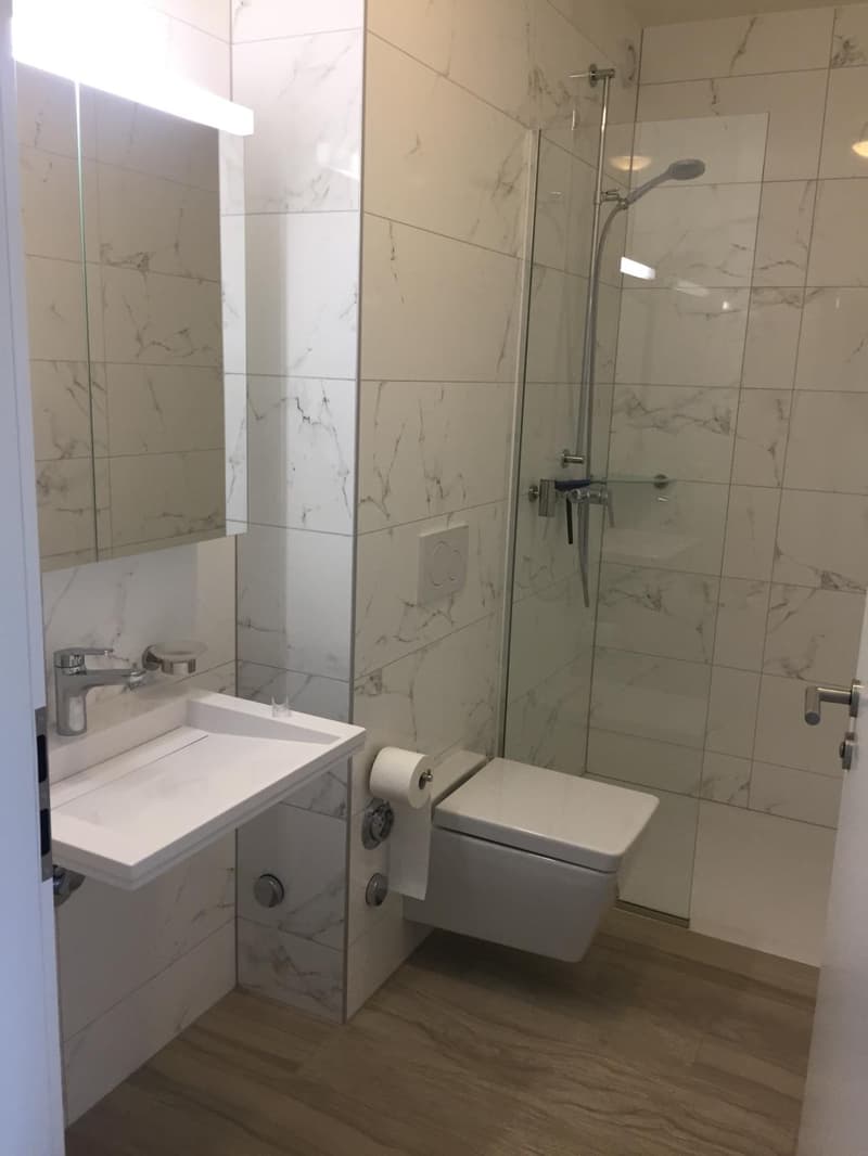 Studio de standing au coeur de Nyon, au calm et a deux pas de la gare. (4)