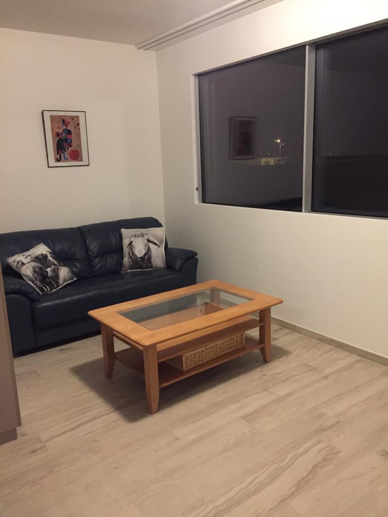 Studio de standing au coeur de Nyon, au calm et a deux pas de la gare. (5)