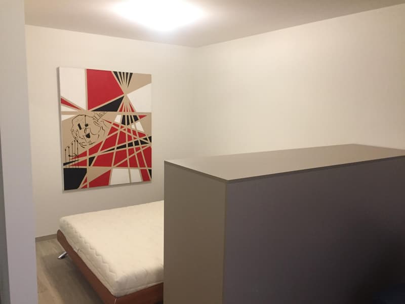 Studio de standing au coeur de Nyon, au calm et a deux pas de la gare. (2)