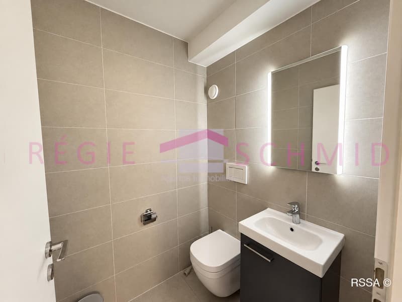 Appartement de 4,5 pièces au coeur de Nyon (12)