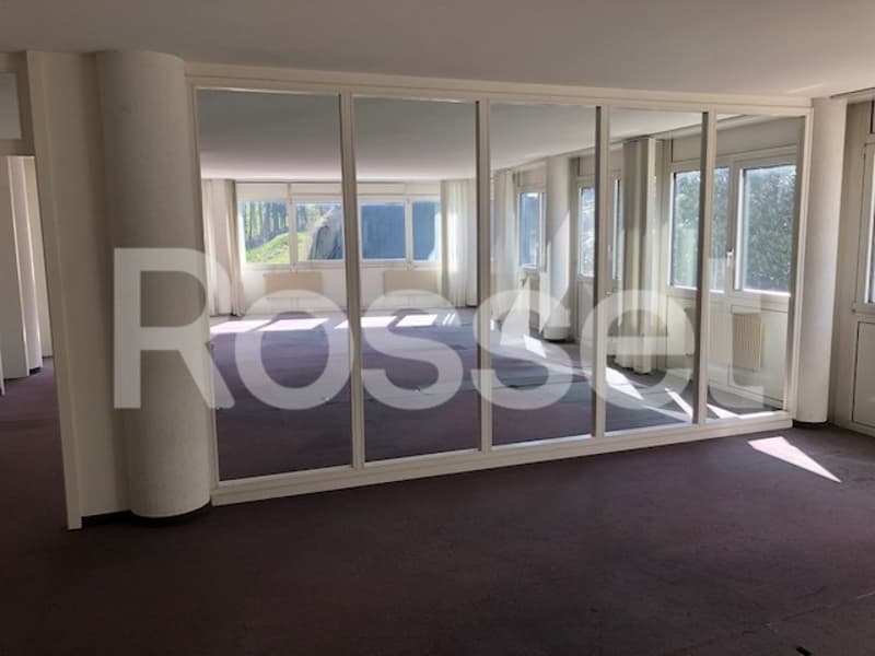 Mont-sur-Lausanne - Surfaces administratives et/ou commerciales (4)