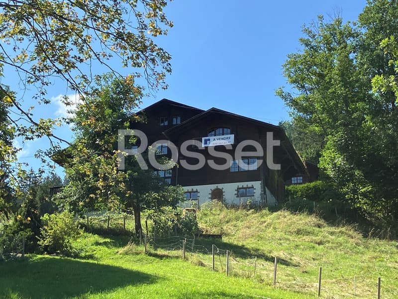 Spacieux chalet de 250m2 à vendre au Lac Noir (2)