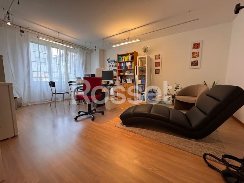 Surface administrative ou logement de 114m2 (3)