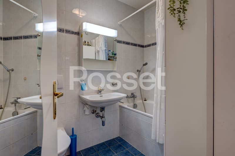 En Exclusivité : Charmant appartement avec terrasse et jardin à Cressy (10)