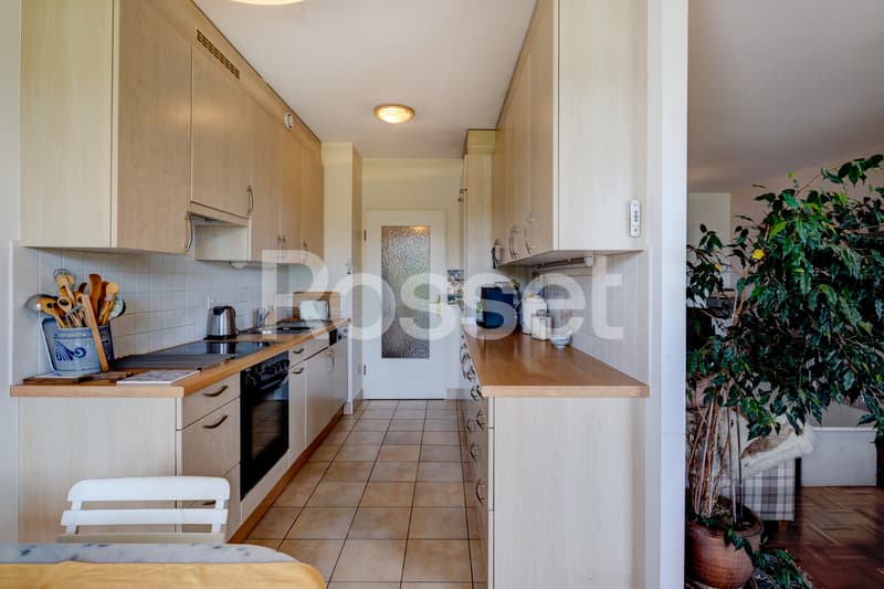 En Exclusivité : Charmant appartement avec terrasse et jardin à Cressy (6)