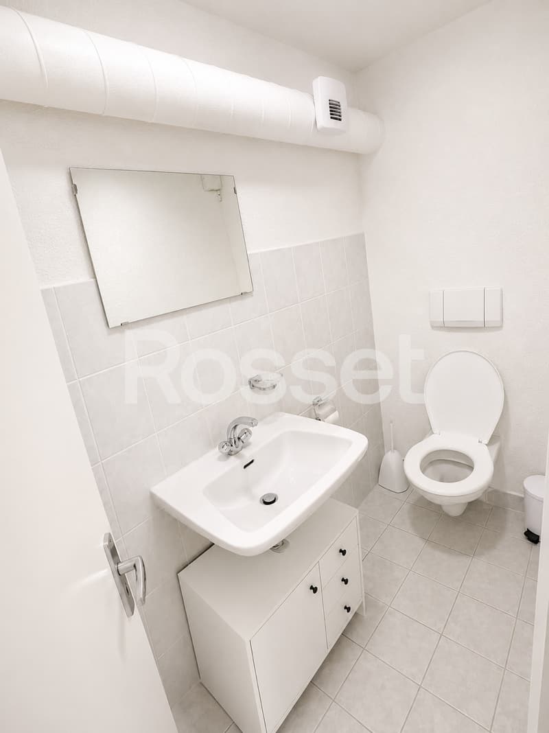 Bureaux d'env. 30 m² au rez-inférieur (4)