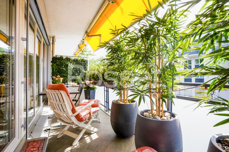 En Exclusivité : Beau 4 pièces en plein coeur de Thônex (2)