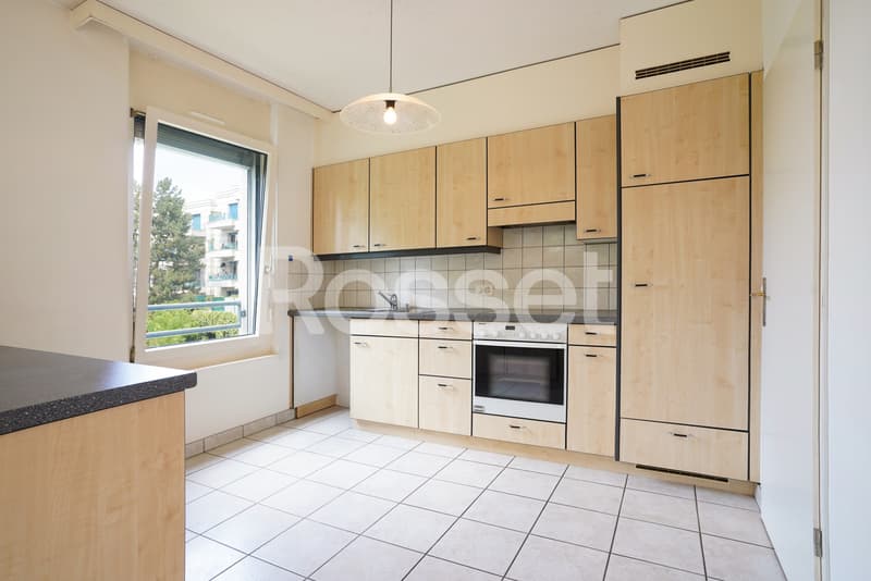 En Exclusivité : Appartement 4 pièces avec terrasse à Carouge (10)