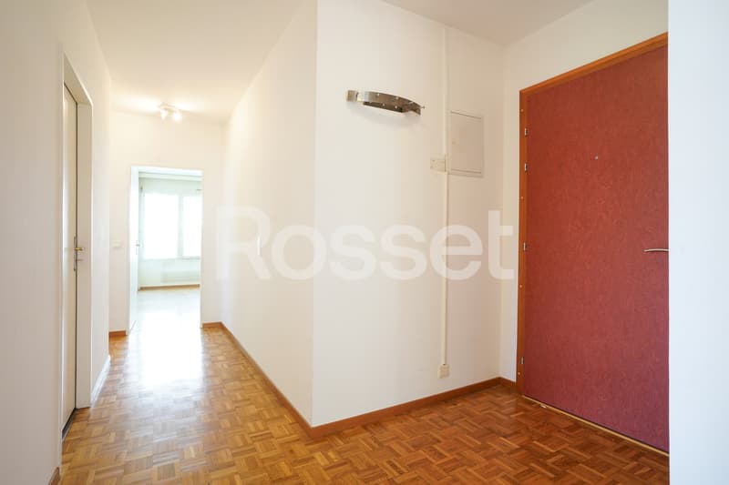 En Exclusivité : Appartement 4 pièces avec terrasse à Carouge (2)