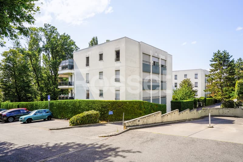 En Exclusivité : Appartement 4 pièces avec terrasse à Carouge (1)