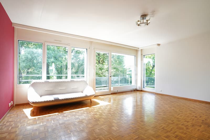En Exclusivité : Appartement 4 pièces avec terrasse à Carouge (3)