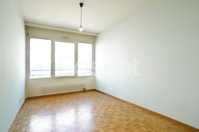 En Exclusivité : Appartement 4 pièces avec terrasse à Carouge (5)