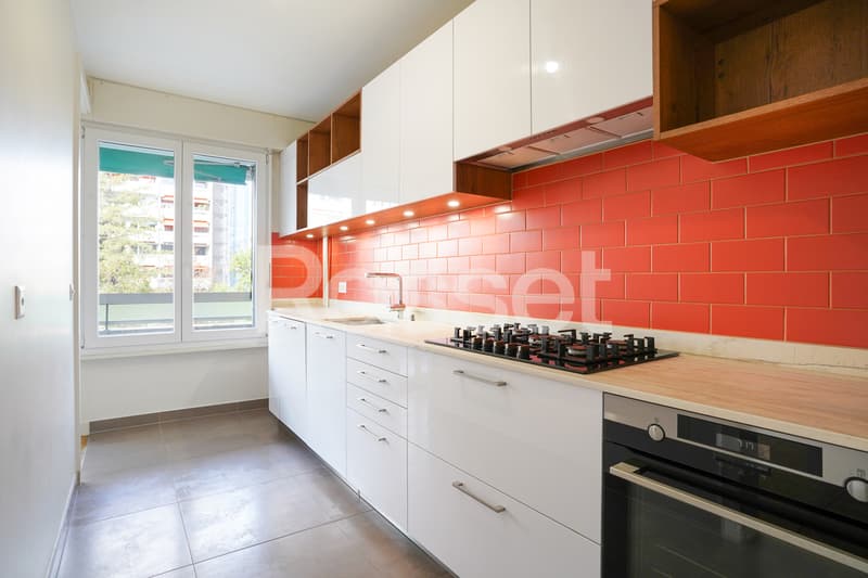 Bel appartement traversant et entièrement rénové de 4,5 pièces (6)