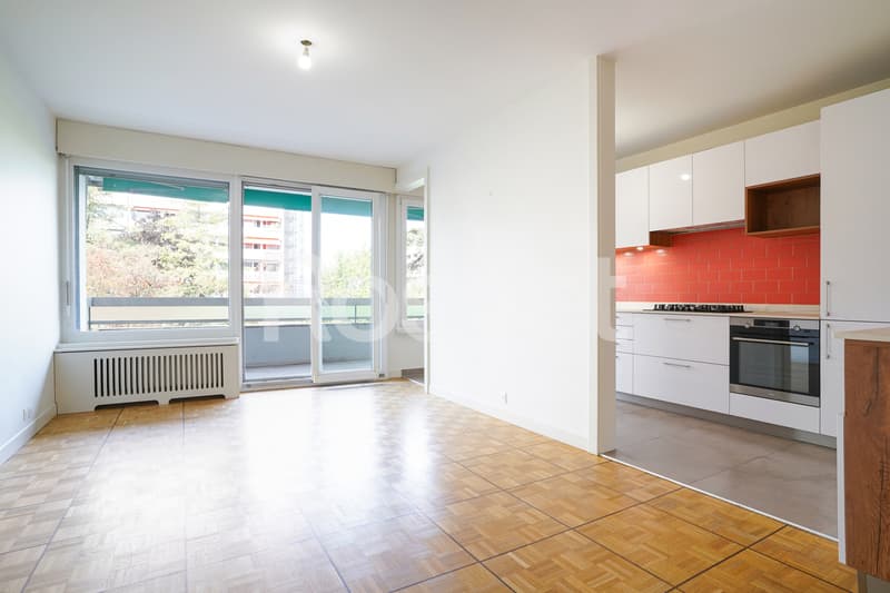 Bel appartement traversant et entièrement rénové de 4,5 pièces (3)