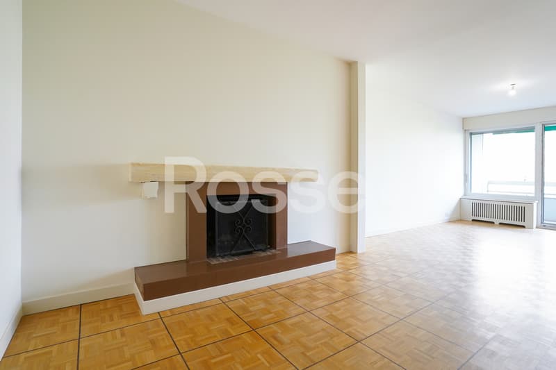 Bel appartement traversant et entièrement rénové de 4,5 pièces (4)
