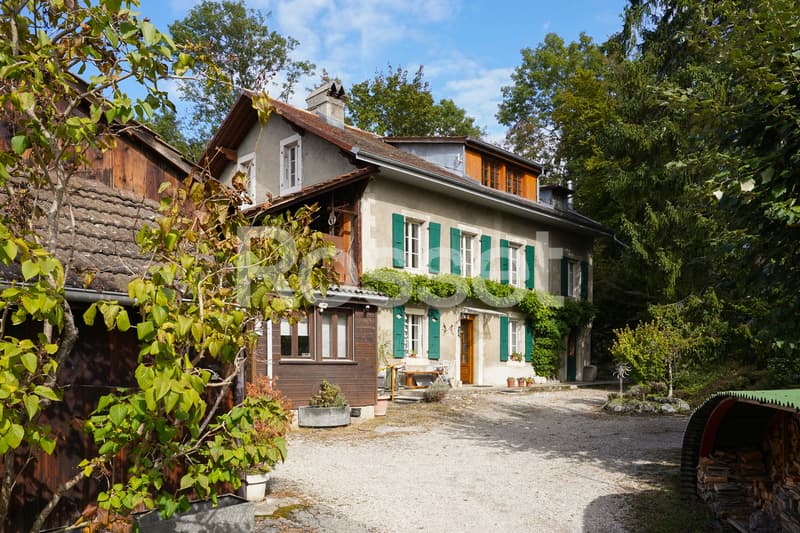 Belle bâtisse du XIXe à rénover au coeur de Céligny (1)