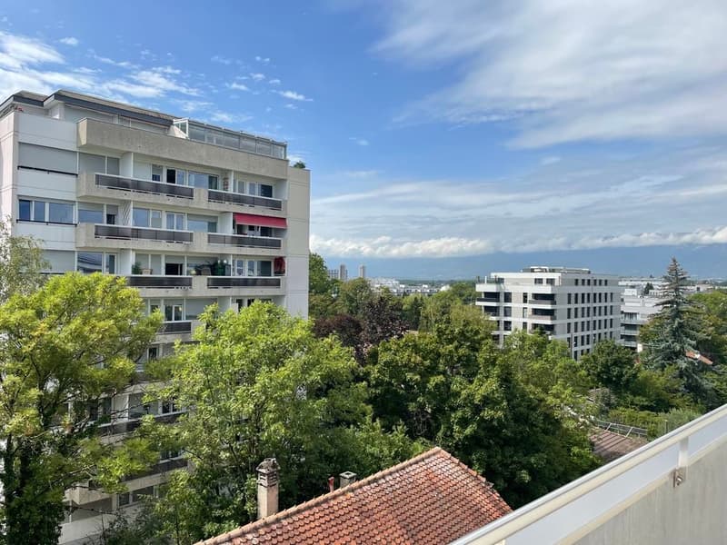 BEL ET GRAND APPARTEMENT EN ATTIQUE (12)