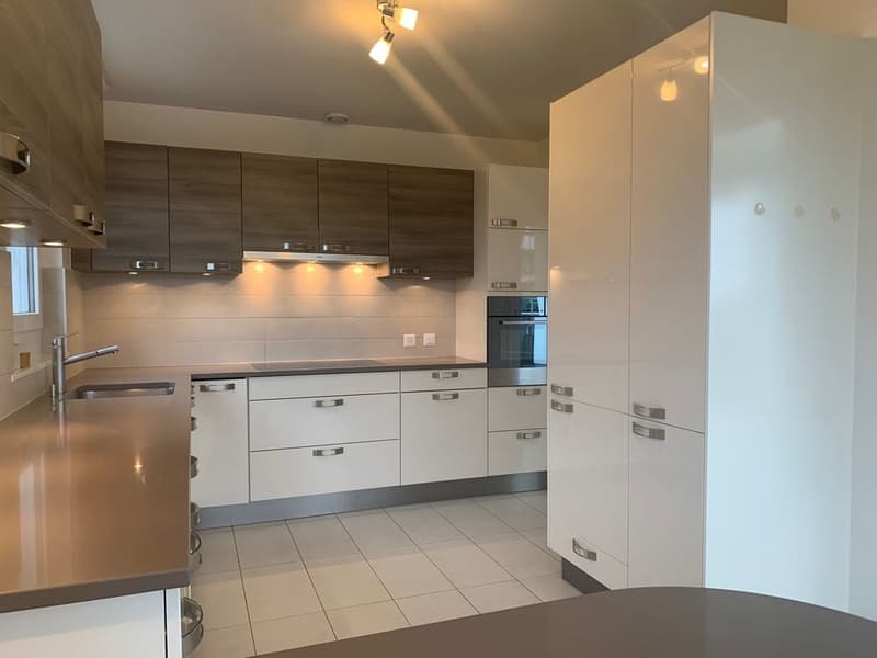 BEL ET GRAND APPARTEMENT EN ATTIQUE (2)
