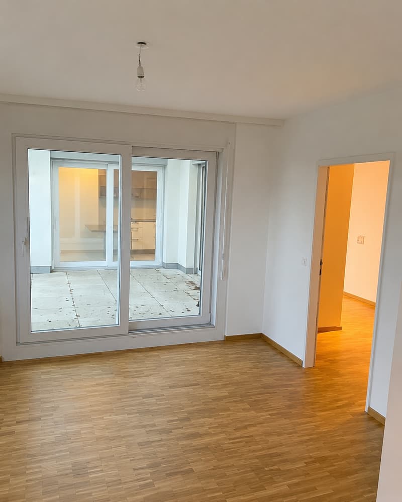 BEL ET GRAND APPARTEMENT EN ATTIQUE (5)