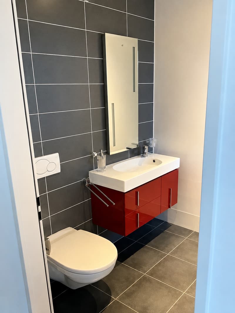 BEL ET GRAND APPARTEMENT EN ATTIQUE (8)