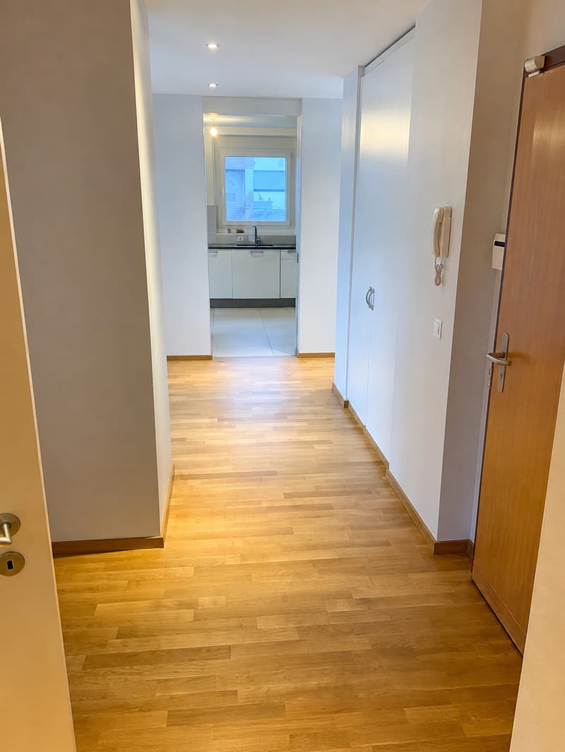 BEL ET GRAND APPARTEMENT EN ATTIQUE (3)