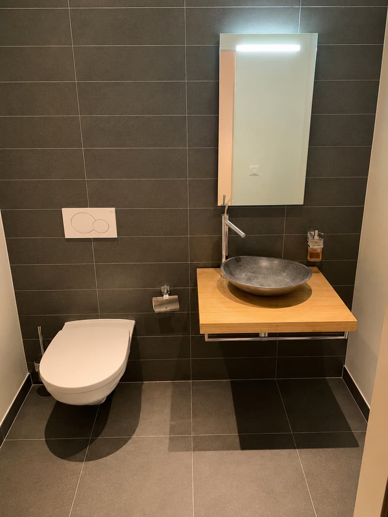 BEL ET GRAND APPARTEMENT EN ATTIQUE (10)