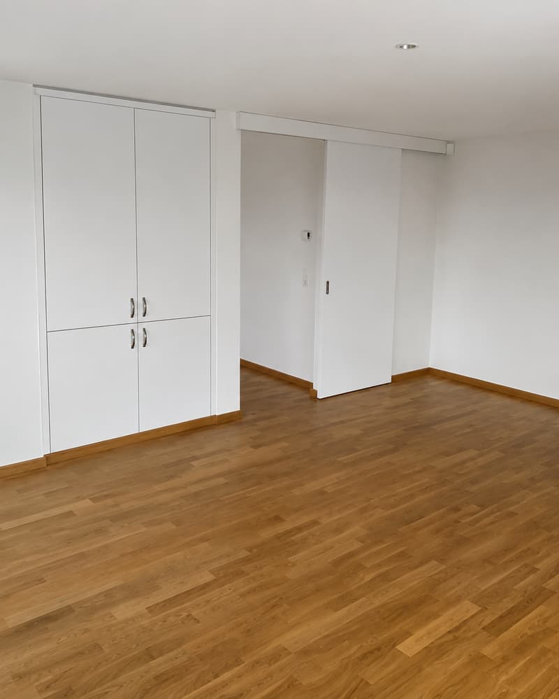 BEL ET GRAND APPARTEMENT EN ATTIQUE (4)