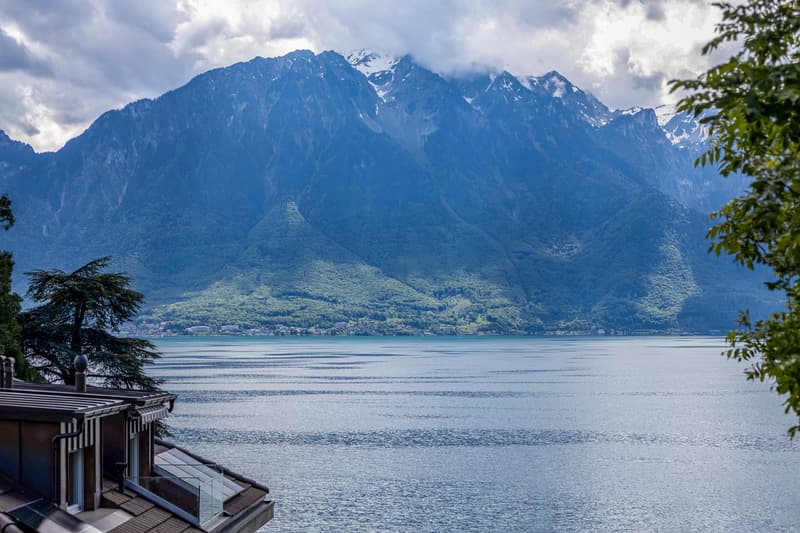 Villa Kenwin Un chef d'oeuvre de style Bauhaus sur les bords du Lac