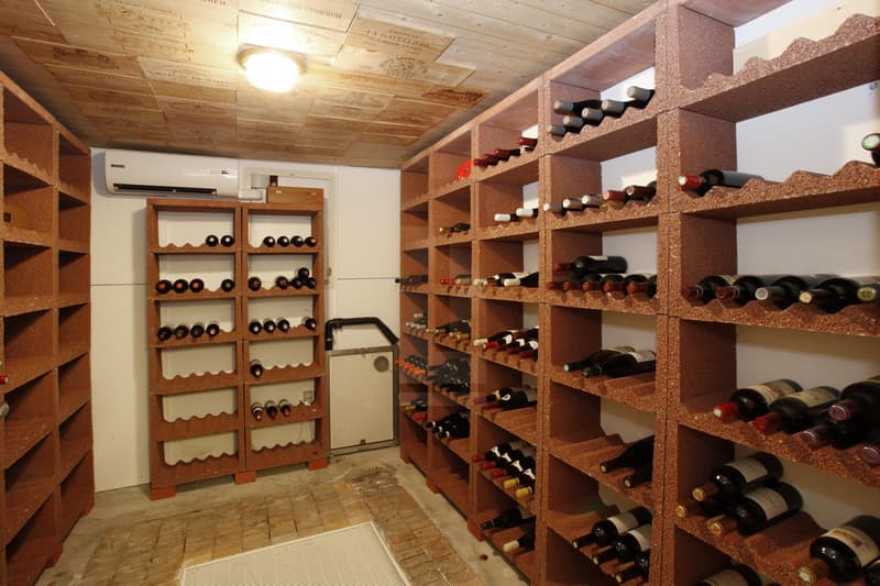 Belle maison familiale avec piscine & dépendance (12)