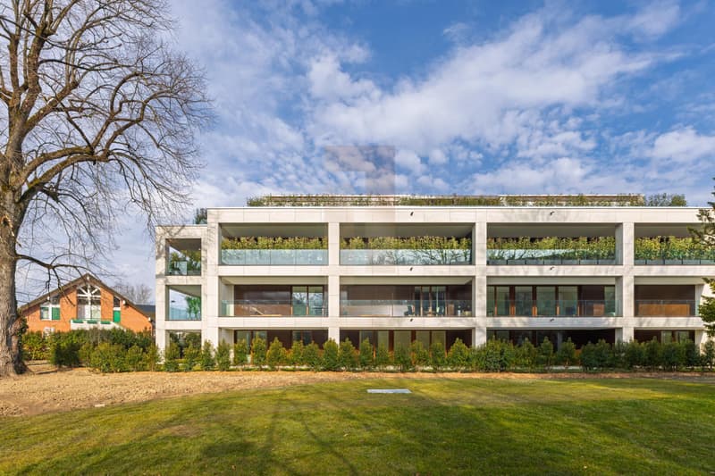 Attique en duplex de haut standing (12)
